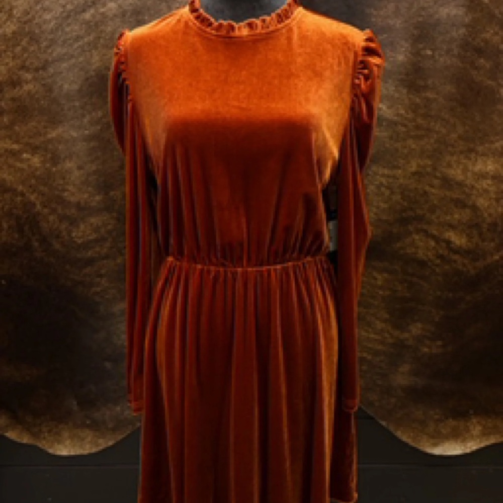 Velvet Frilled Dress